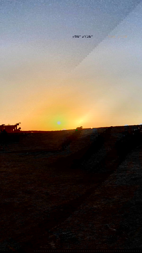 nikolgolovatzky nikolgolovatzky archive image