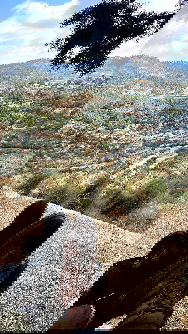 nikolgolovatzky nikolgolovatzky archive image