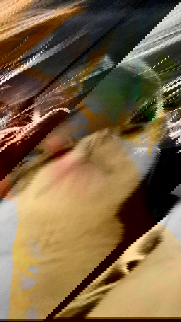 nikolgolovatzky nikolgolovatzky archive image