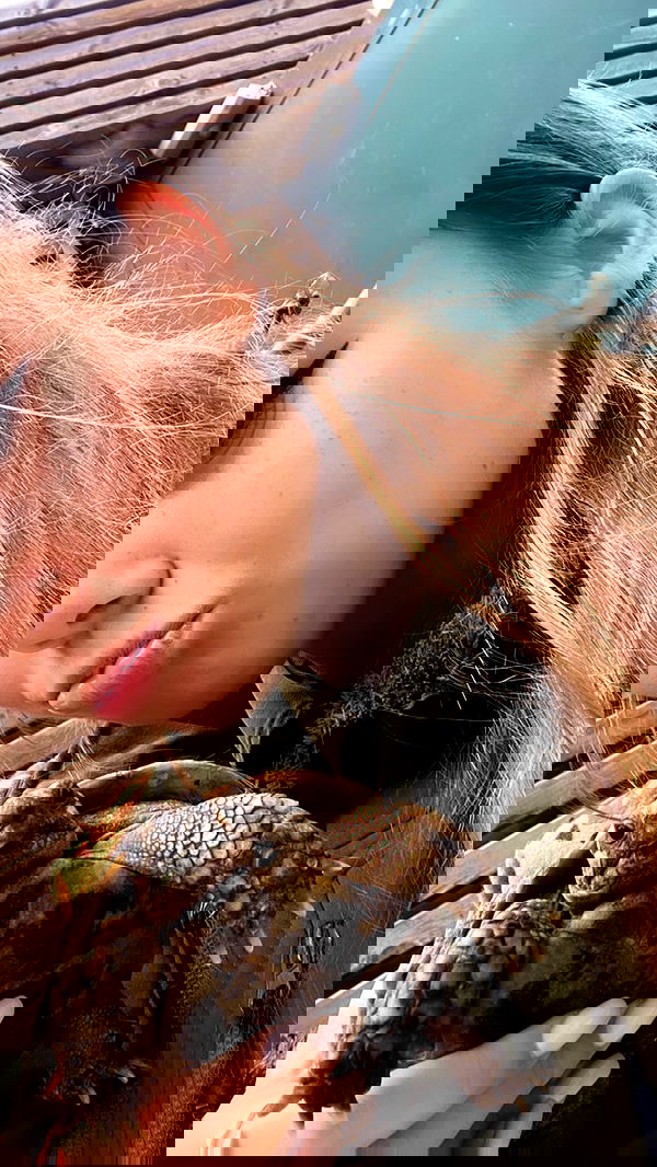 nikolgolovatzky nikolgolovatzky archive image