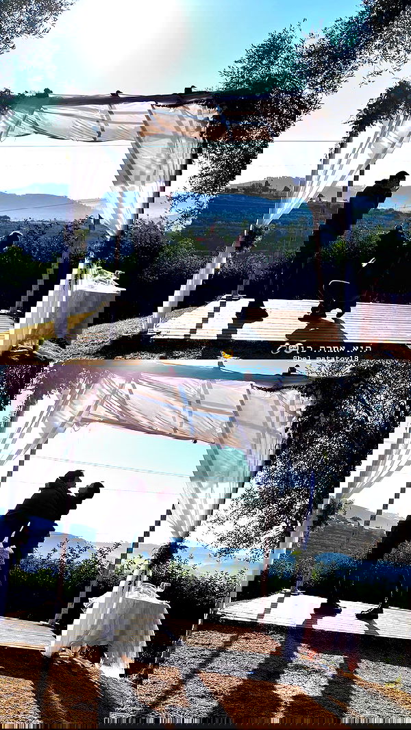 nikolgolovatzky nikolgolovatzky archive image