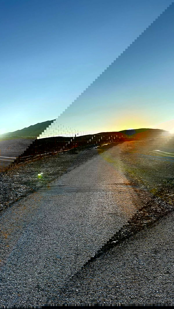 nikolgolovatzky nikolgolovatzky archive image