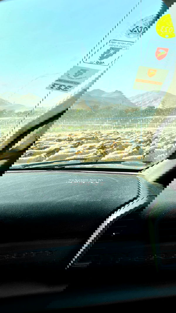 nikolgolovatzky nikolgolovatzky archive image