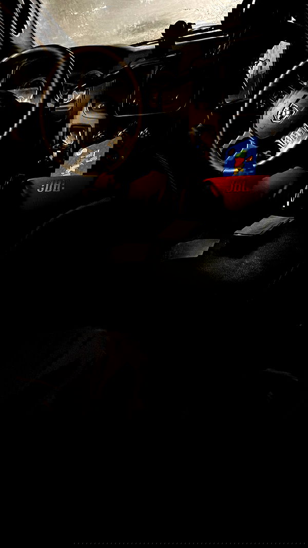 nikolgolovatzky nikolgolovatzky archive image