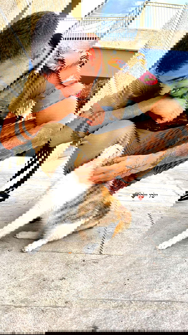 nikolgolovatzky nikolgolovatzky archive image