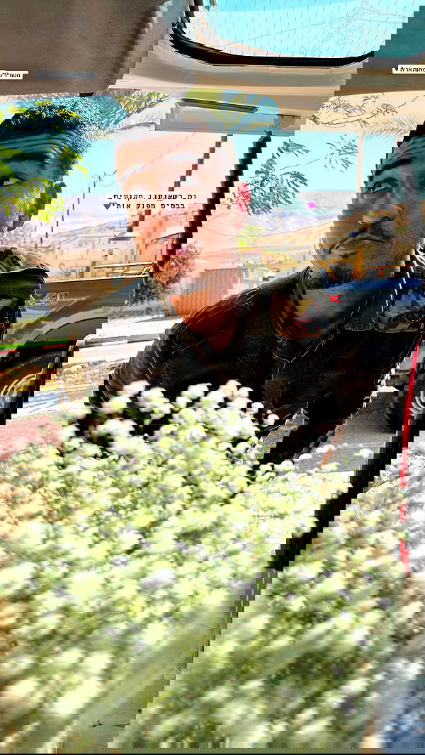 nikolgolovatzky nikolgolovatzky archive image