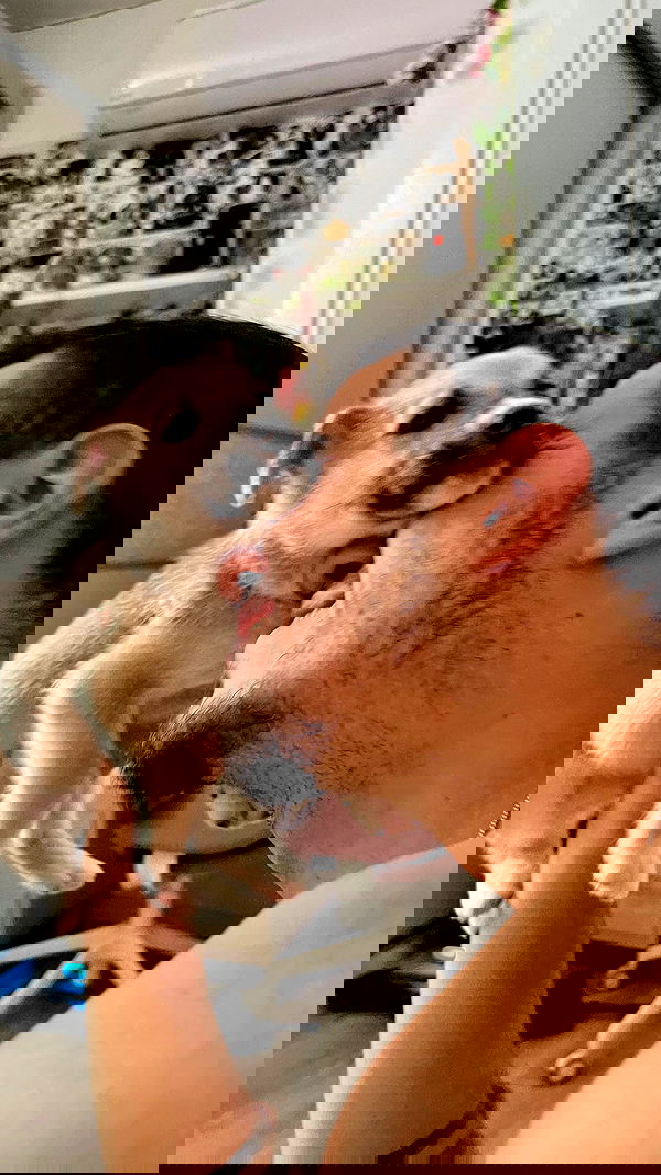 nikolgolovatzky nikolgolovatzky archive image