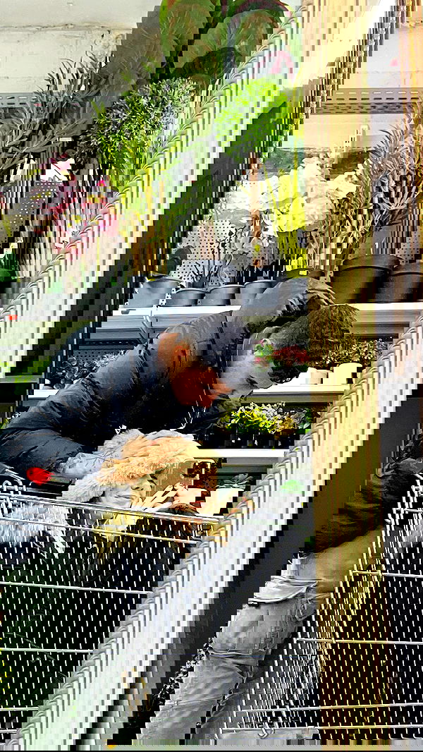 nikolgolovatzky nikolgolovatzky archive image