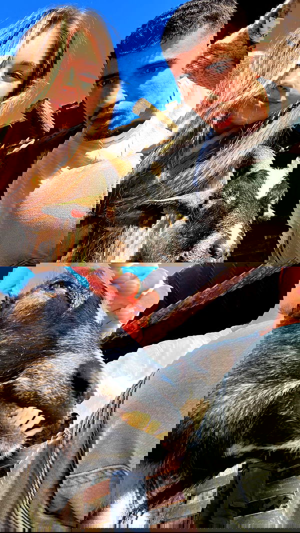 nikolgolovatzky nikolgolovatzky archive image