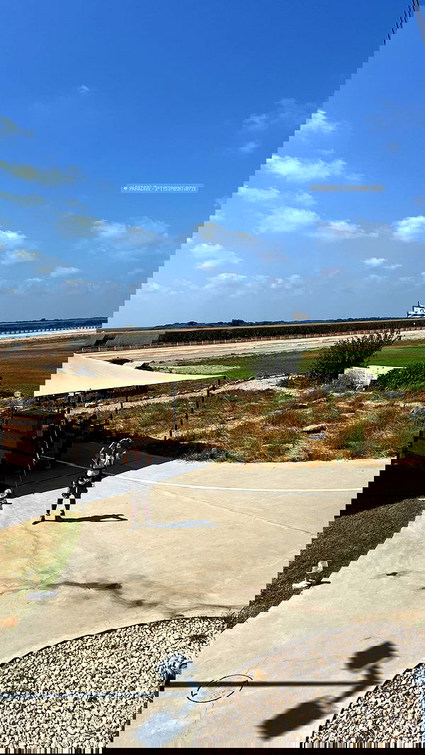 nikolgolovatzky nikolgolovatzky archive image