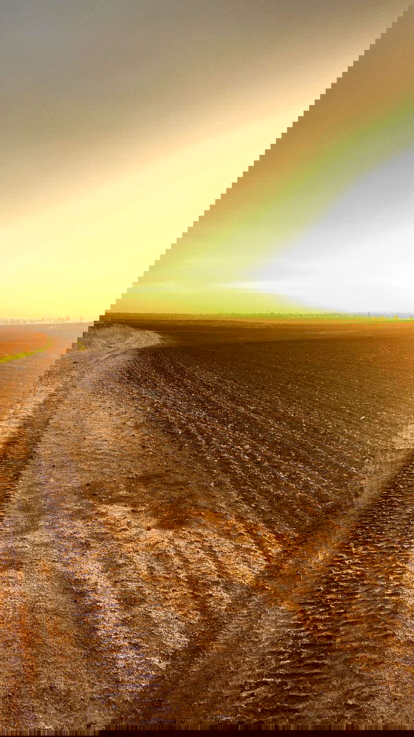 nikolll_._6 image ~ Altpins