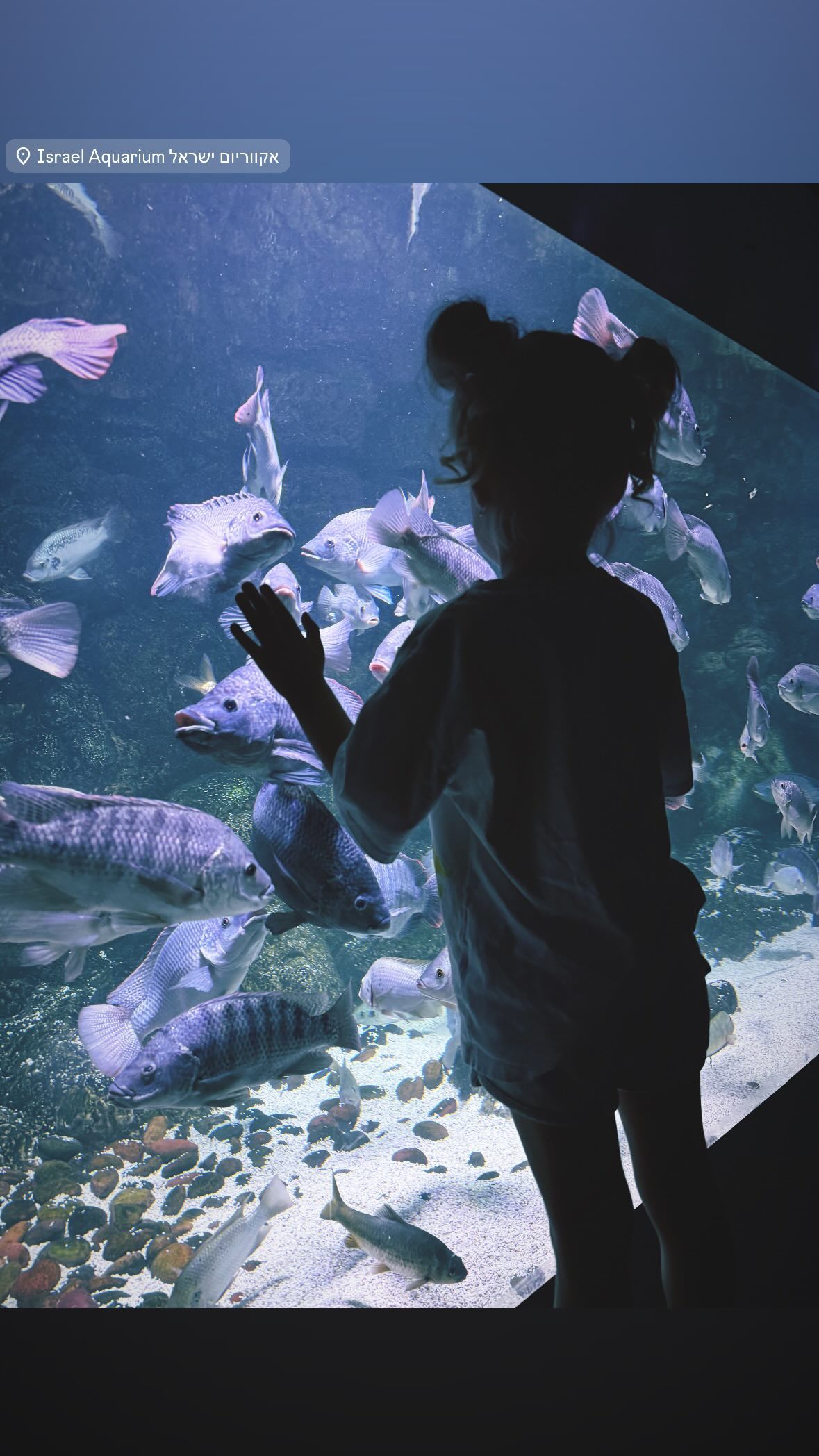 nikolll_._6 instagram image archive image