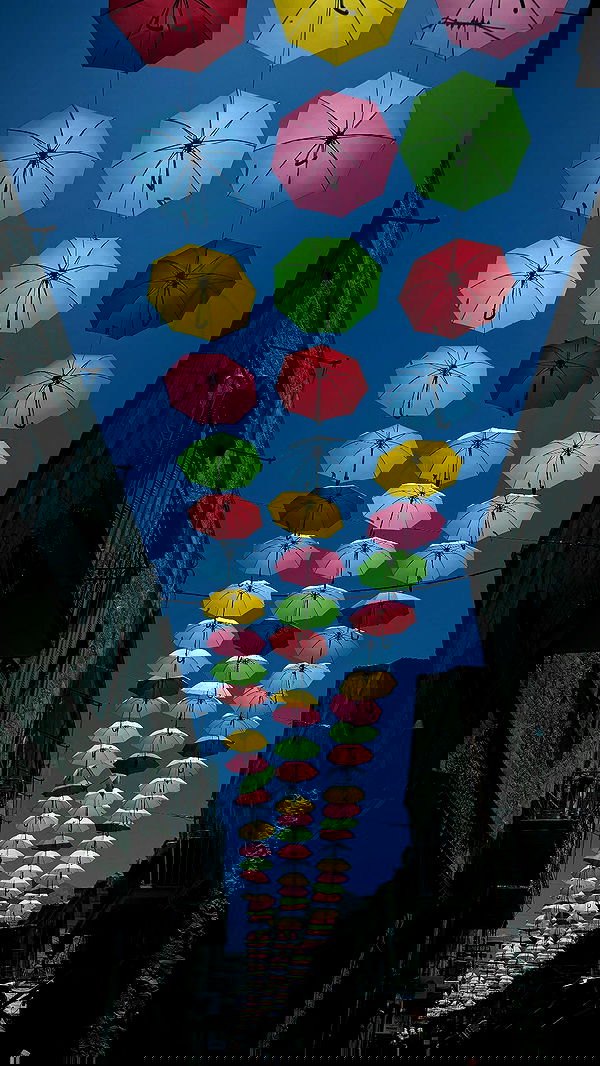 nikolll_._6 image ~ Altpins