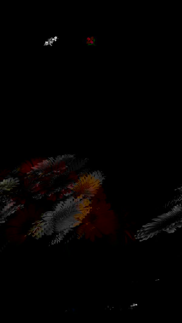 nikolll_._6 image ~ Altpins