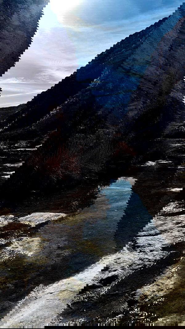 nikolll_._6 image ~ Altpins