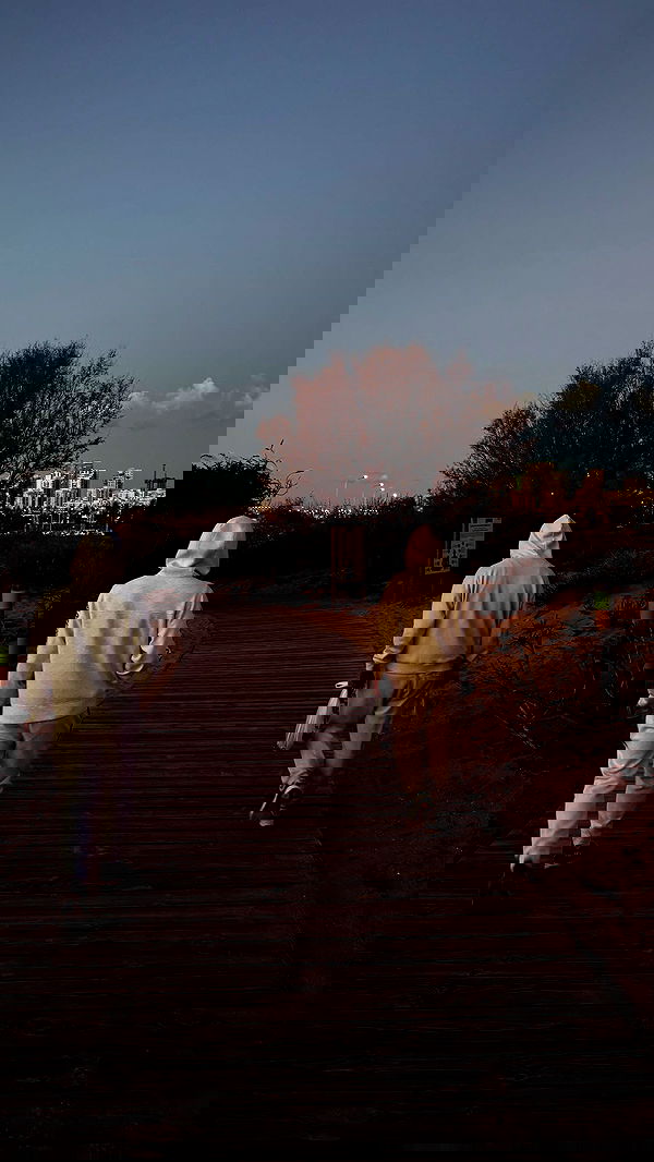 nikolll_._6 image ~ Altpins