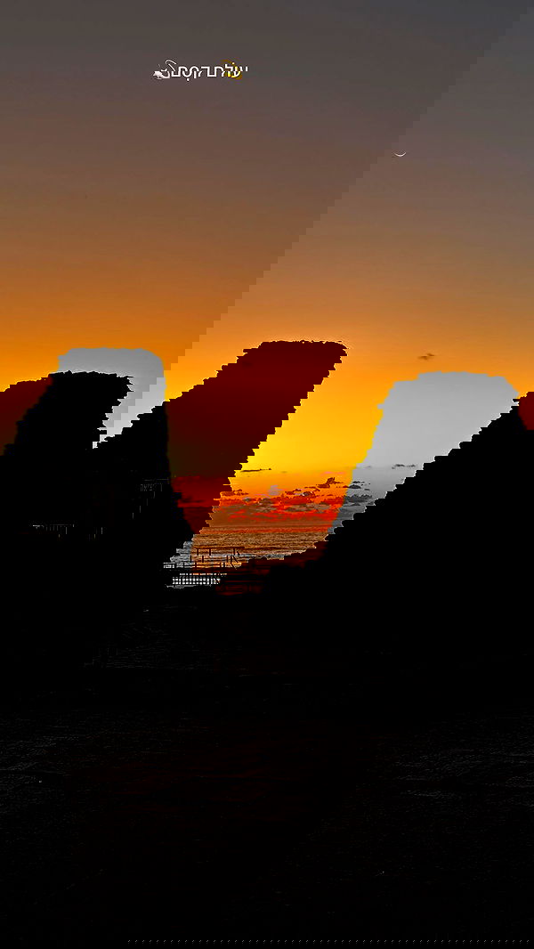 nikolll_._6 image ~ Altpins