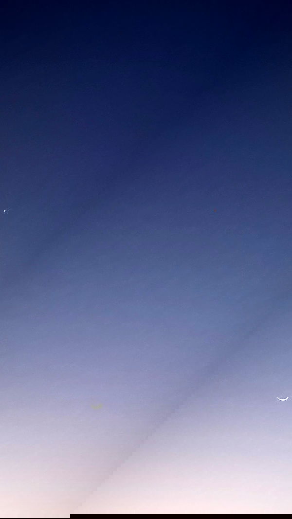 nikolll_._6 image ~ Altpins