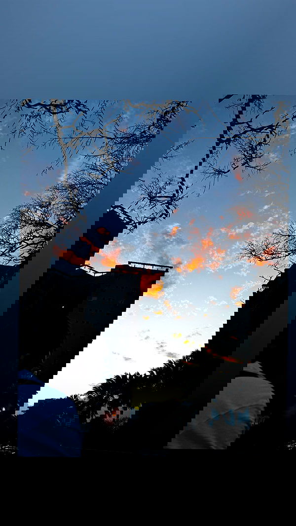 nikolll_._6 image ~ Altpins