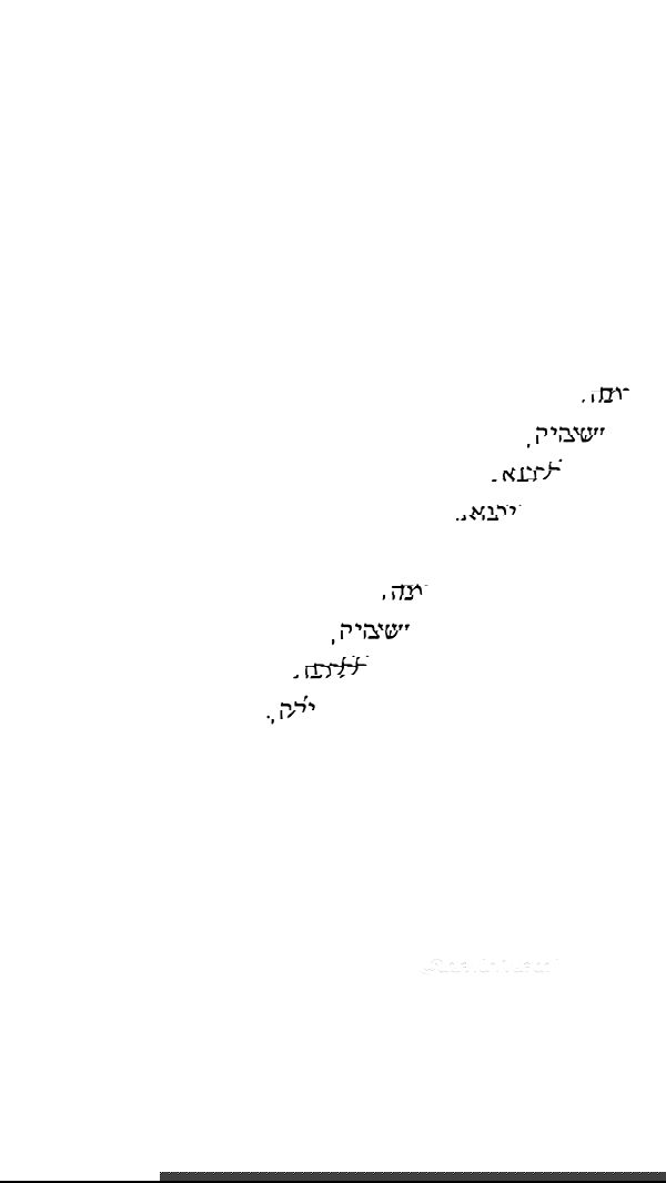 nikolll_._6 image ~ Altpins