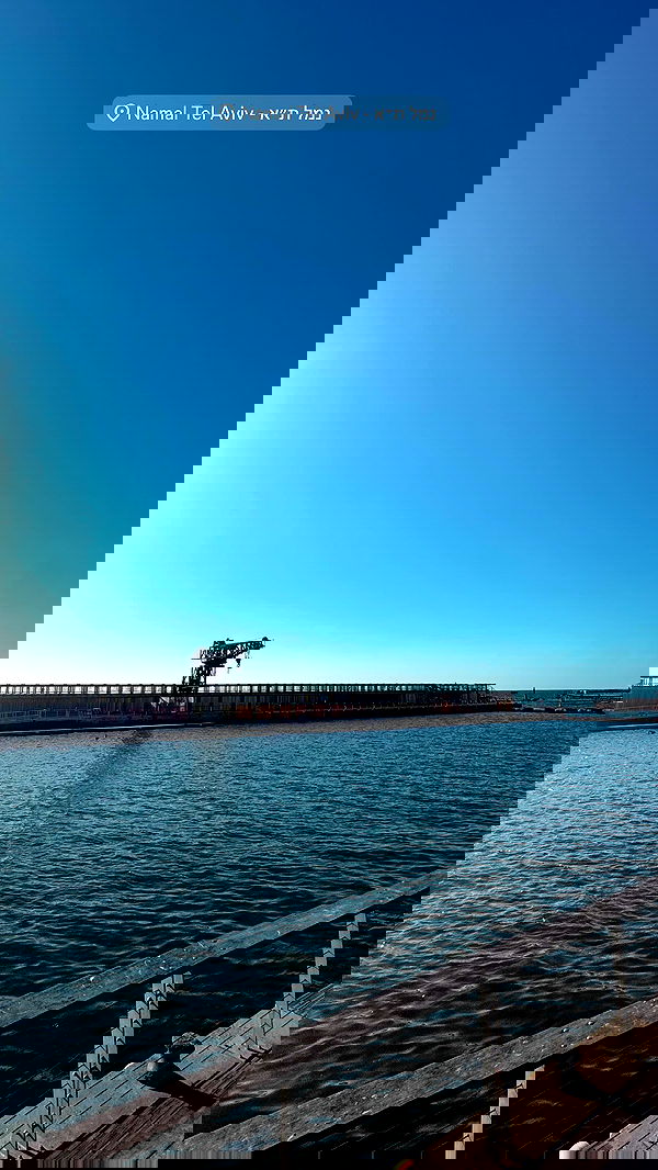 nikolll_._6 image ~ Altpins