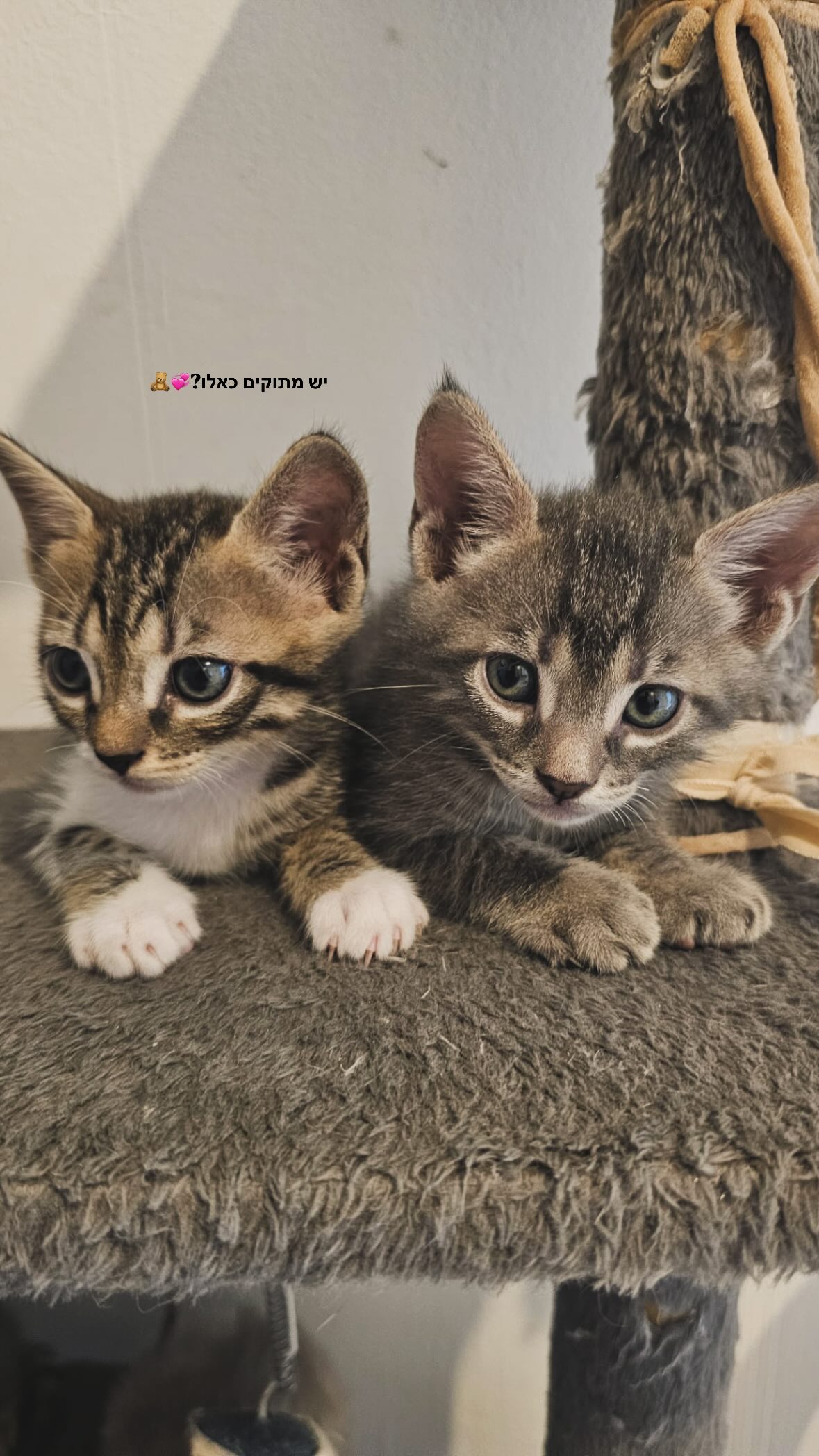 nikolll_._6 instagram image archive image