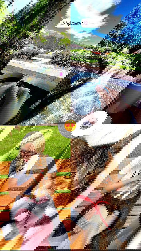 ninja.vi ninja.vi archive image