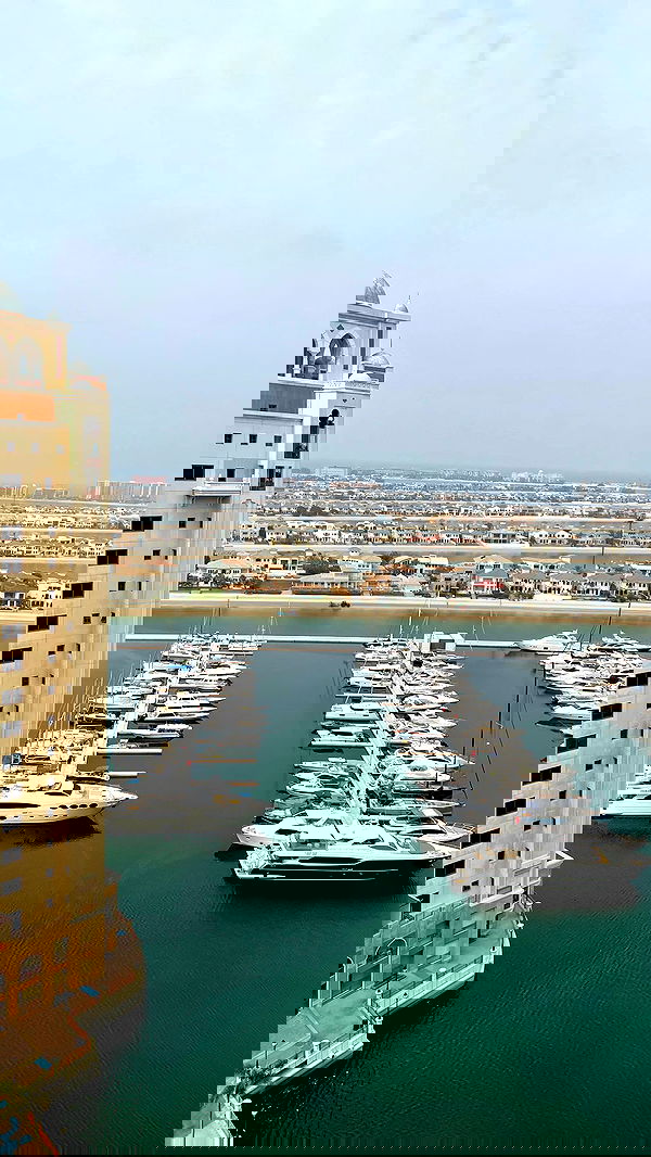 ninja.vi ninja.vi archive image