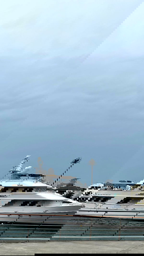 ninja.vi ninja.vi archive image