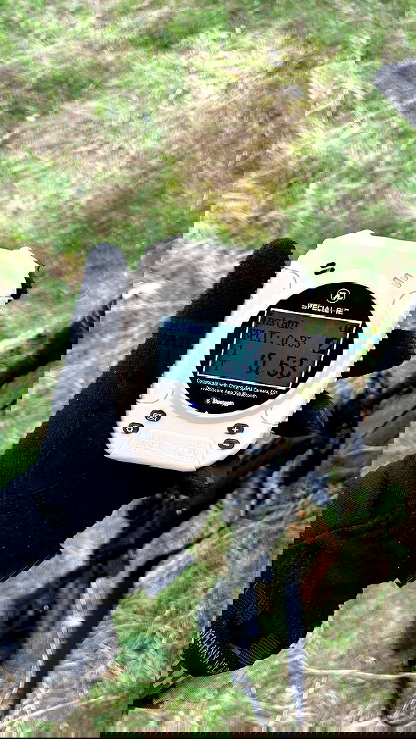 ninja.vi ninja.vi archive image