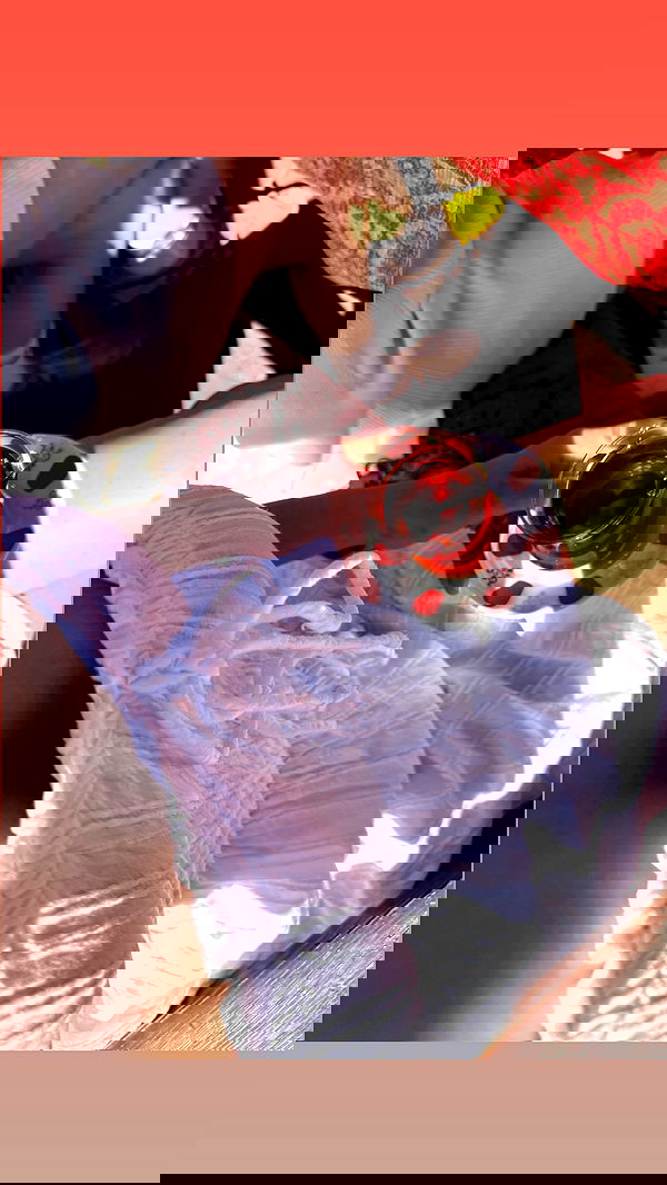 ninja.vi ninja.vi archive image