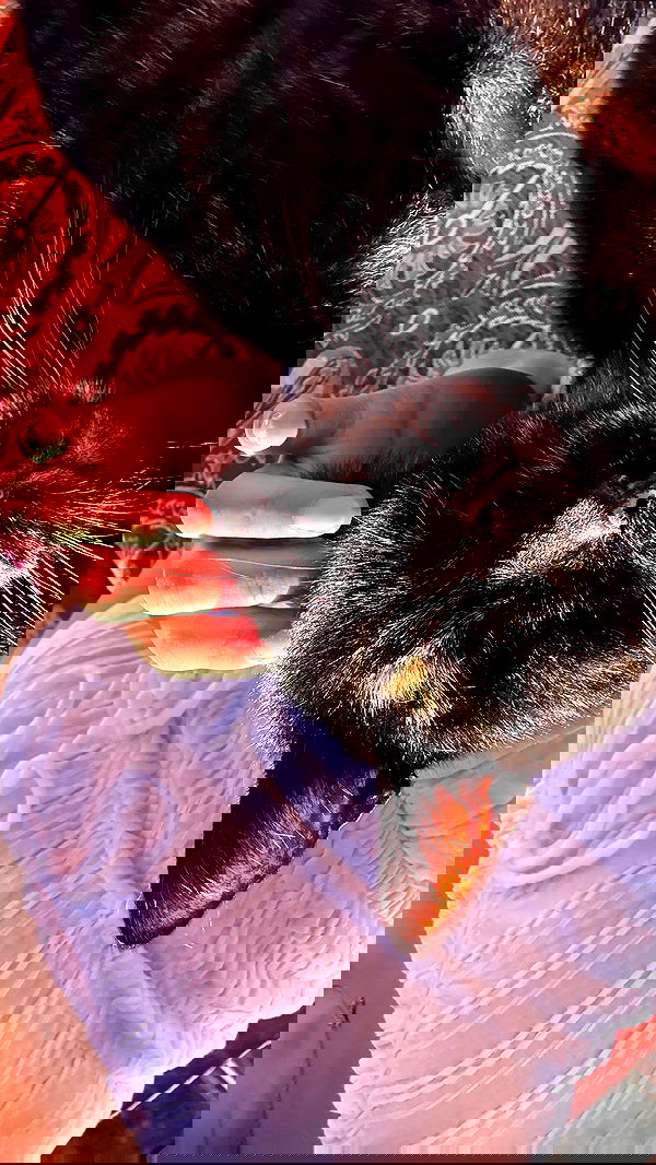 ninja.vi ninja.vi archive image