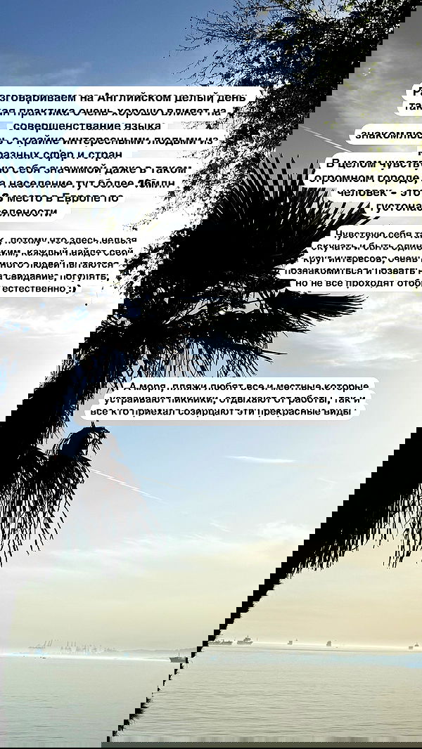 ninja.vi ninja.vi archive image