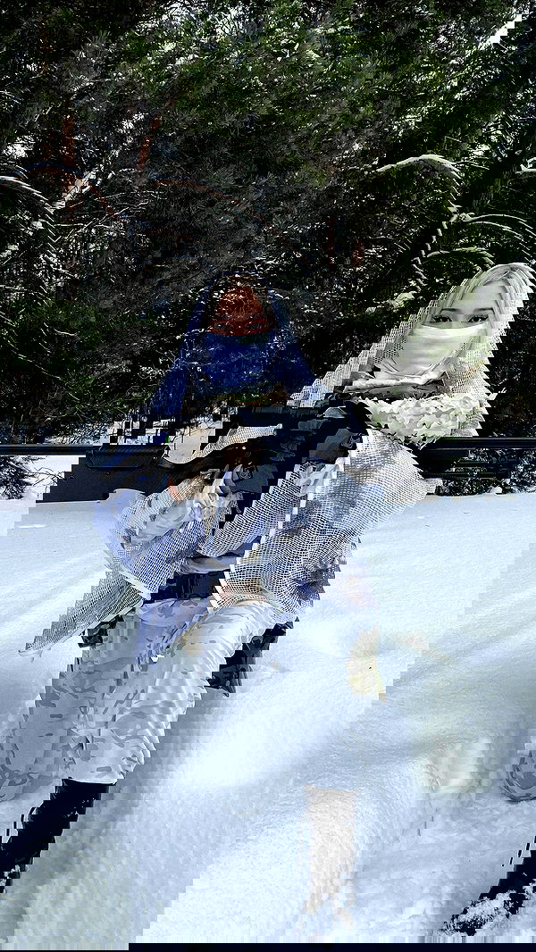 ninja.vi ninja.vi archive image