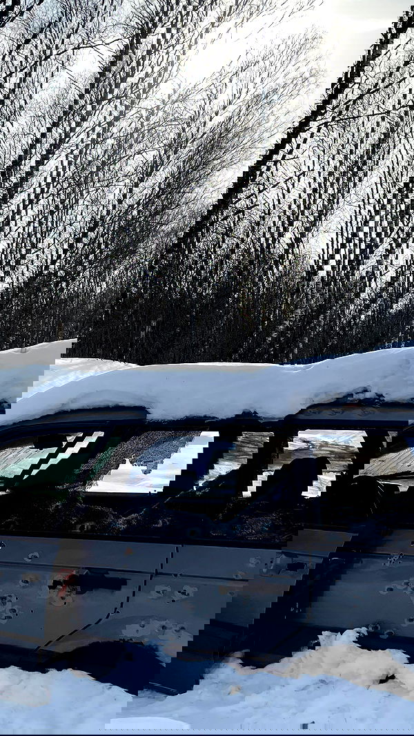 ninja.vi ninja.vi archive image