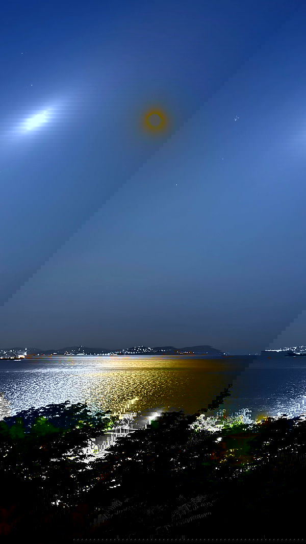 ninja.vi ninja.vi archive image