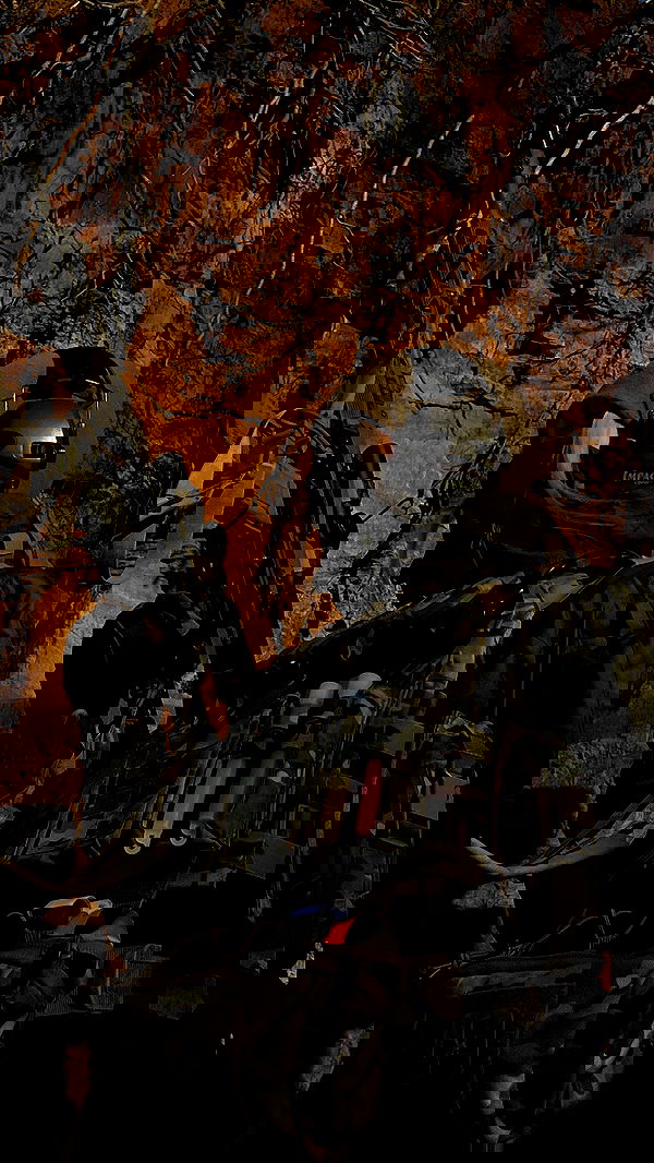 ninja.vi ninja.vi archive image