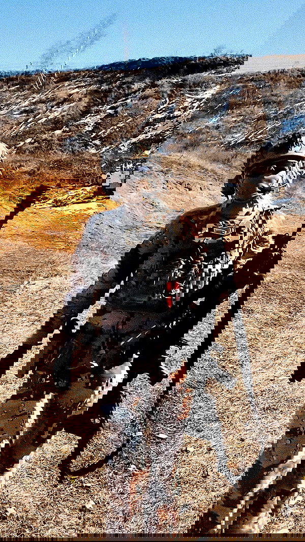 ninja.vi ninja.vi archive image