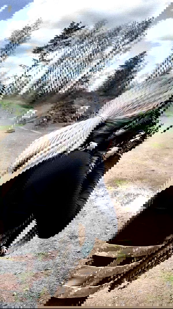 ninja.vi ninja.vi archive image