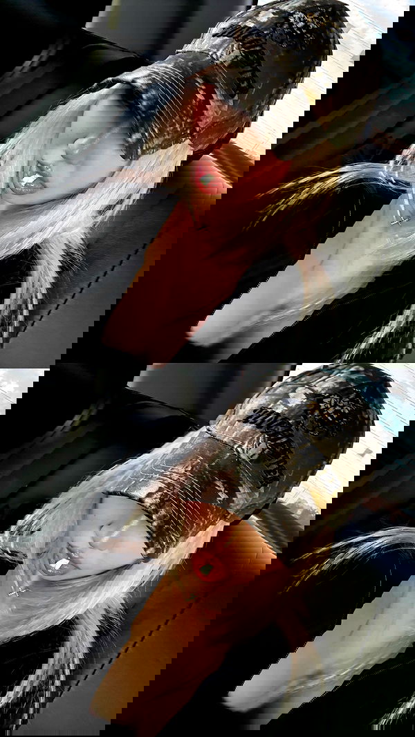 ninja.vi ninja.vi archive image