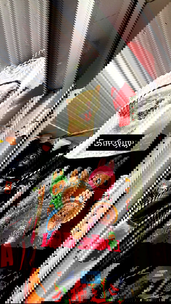 ninja.vi ninja.vi archive image