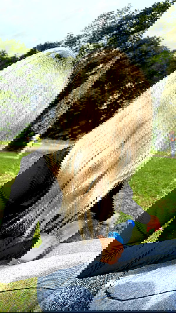 ninja.vi ninja.vi archive image