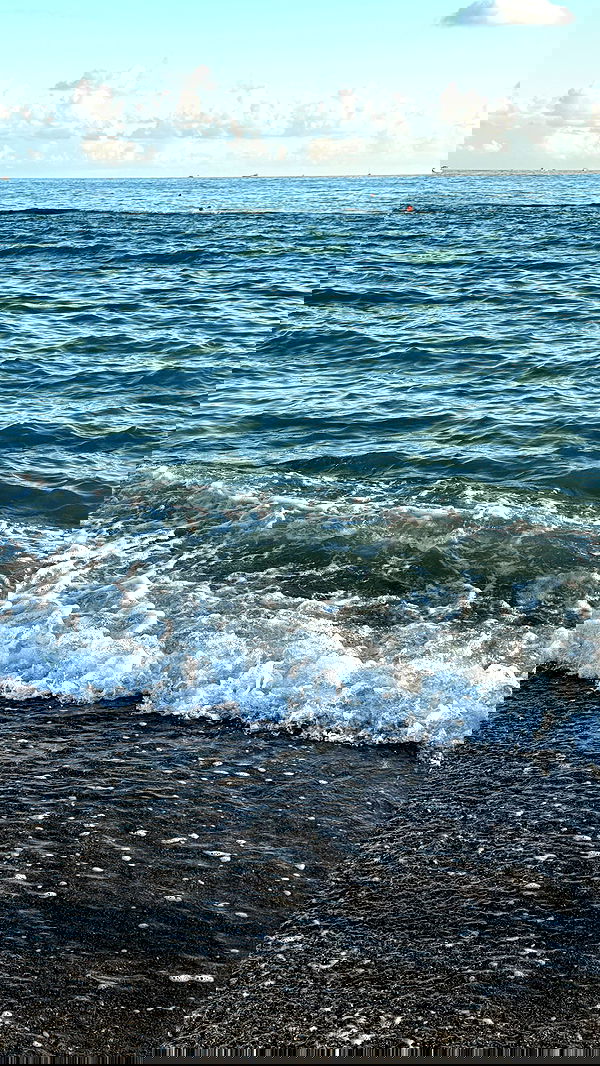 ninja.vi ninja.vi archive image