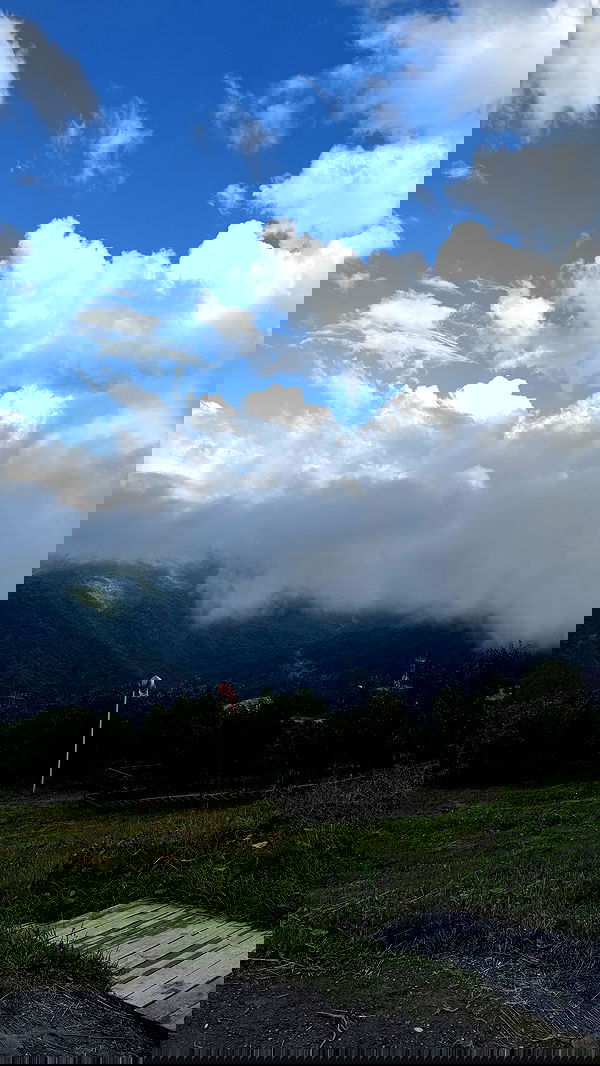 ninja.vi ninja.vi archive image