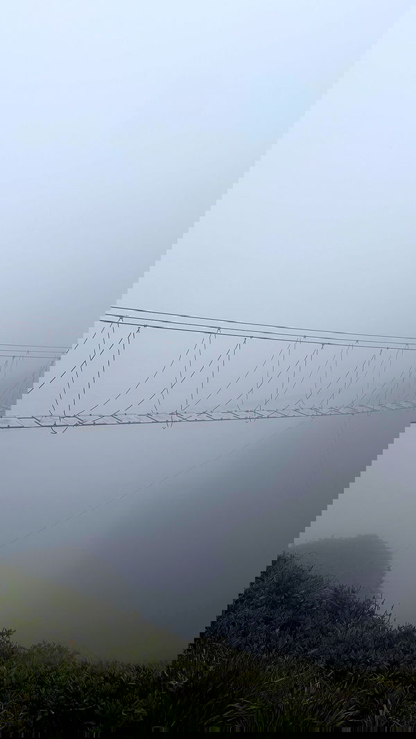 ninja.vi ninja.vi archive image