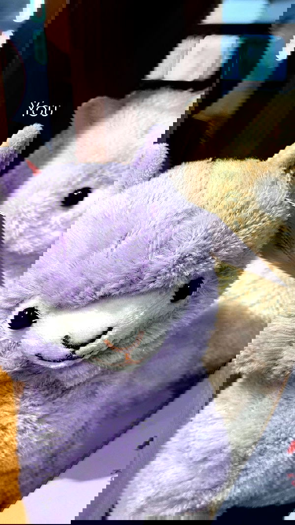 ninja.vi ninja.vi archive image