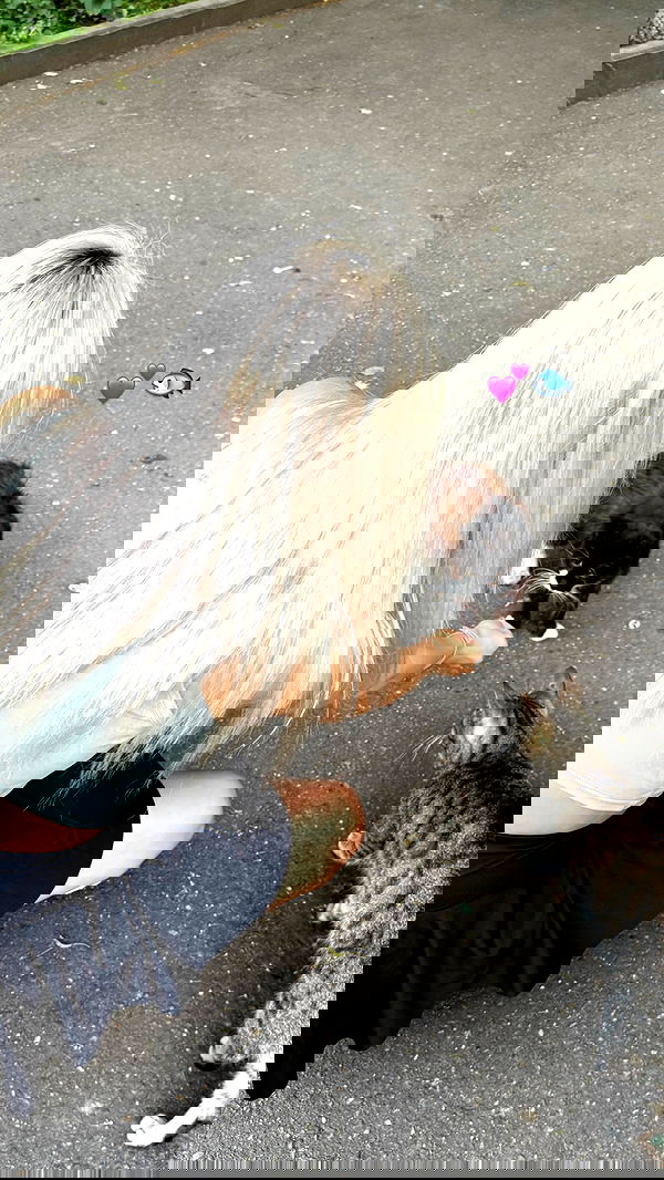 ninja.vi ninja.vi archive image