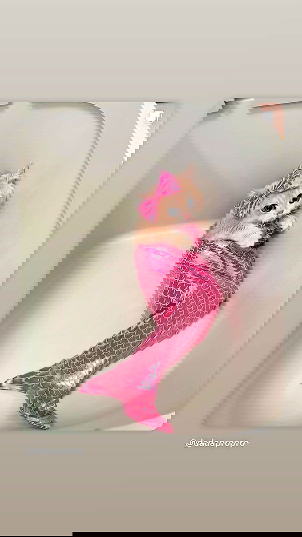 ninja.vi ninja.vi archive image