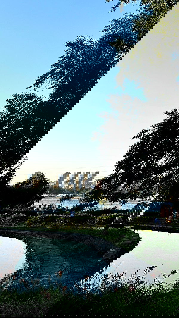 ninja.vi ninja.vi archive image