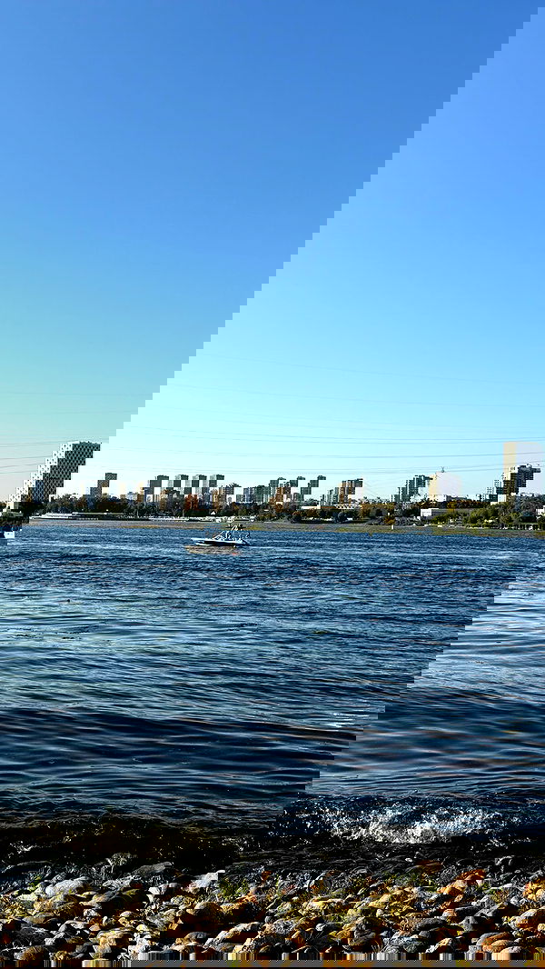 ninja.vi ninja.vi archive image